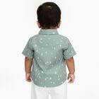 Infants Light Sage Green Cotton Half Sleeve Classic Casual Shirt, हल्का हरा, small image number null