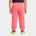 Girls' Coral Jogger Fit Graphic Printed Pyjama, मूँगा (कोरल), small