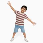 Boys Deep Maroon and White Crew Neck Casual T-Shirt, मरून, small image number null