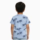 Boys Light Blue Cotton Round Neck Casual Half Sleeve T-Shirt, Light Blue, small