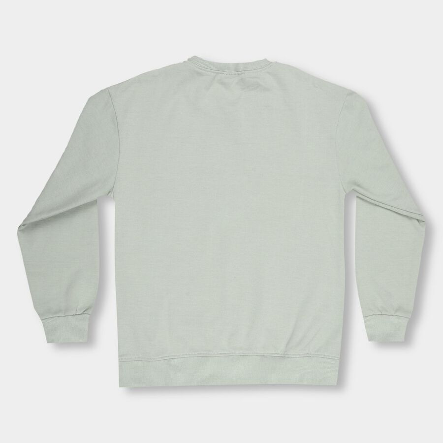 Boys Light Sage Green Crew Neck Casual Sweatshirt, Light Green, large image number null