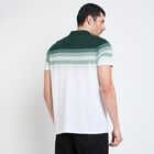 Men's Collared Half Sleeves T-Shirt, Dark Green, small