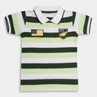 Boys' 100% Cotton Half Sleeves T-Shirt , Dark Green, small image number null