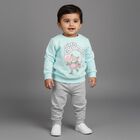 Infants Bright Aqua Cotton Crew Neck Casual Sweatshirt, एक्वा, small image number null