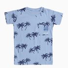 Boys Light Blue Cotton Round Neck Casual Half Sleeve T-Shirt, Light Blue, small