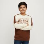 Boys' Sweatshirt, भूरा, small image number null