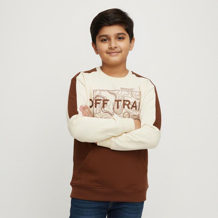 Boys' Sweatshirt, भूरा, large image number null