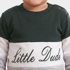 Infants Green 100% Cotton Crew Neck Pullover Sweatshirt, Dark Green, small