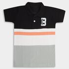 Boys' Light Green Cotton Collar Half Sleeve T-Shirt, Light Green, small image number null
