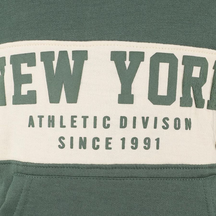 Boys Dark Sage Green Hooded Neck Graphic Sweatshirt, Dark Green, large image number null