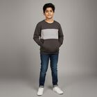 Boys' Dark Charcoal Grey Crew Neck Casual Sweatshirt, गहरा ग्रे, small image number null