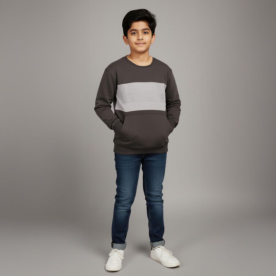 Boys' Dark Charcoal Grey Crew Neck Casual Sweatshirt, गहरा ग्रे, large image number null