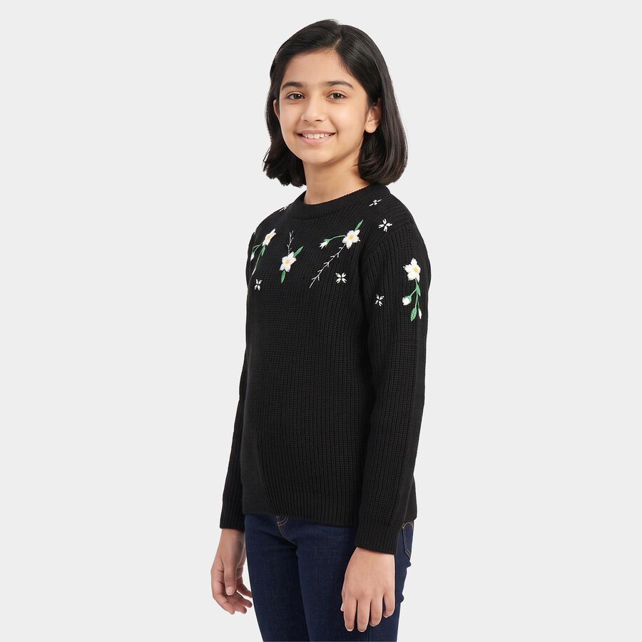 Girls Black Crew Neck Embroidered Pullover, काला, large