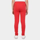 Girls Fuchsia Slim Fit Bow Detail Legging, रानी (फ्यूशिया), small