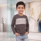Boys Charcoal Cotton Round Neck Regular T-Shirt, चारकोल, small