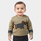 Infants Beige Crew Neck Printed Pullover, गहरा पीला, small