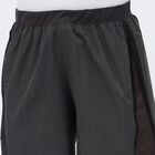 Men's Charcoal Black Regular Fit Mesh Panel Sports Shorts, Dark Grey, small