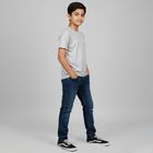 Boys Light Grey Crew Neck Casual T-Shirt, Light Grey, small image number null