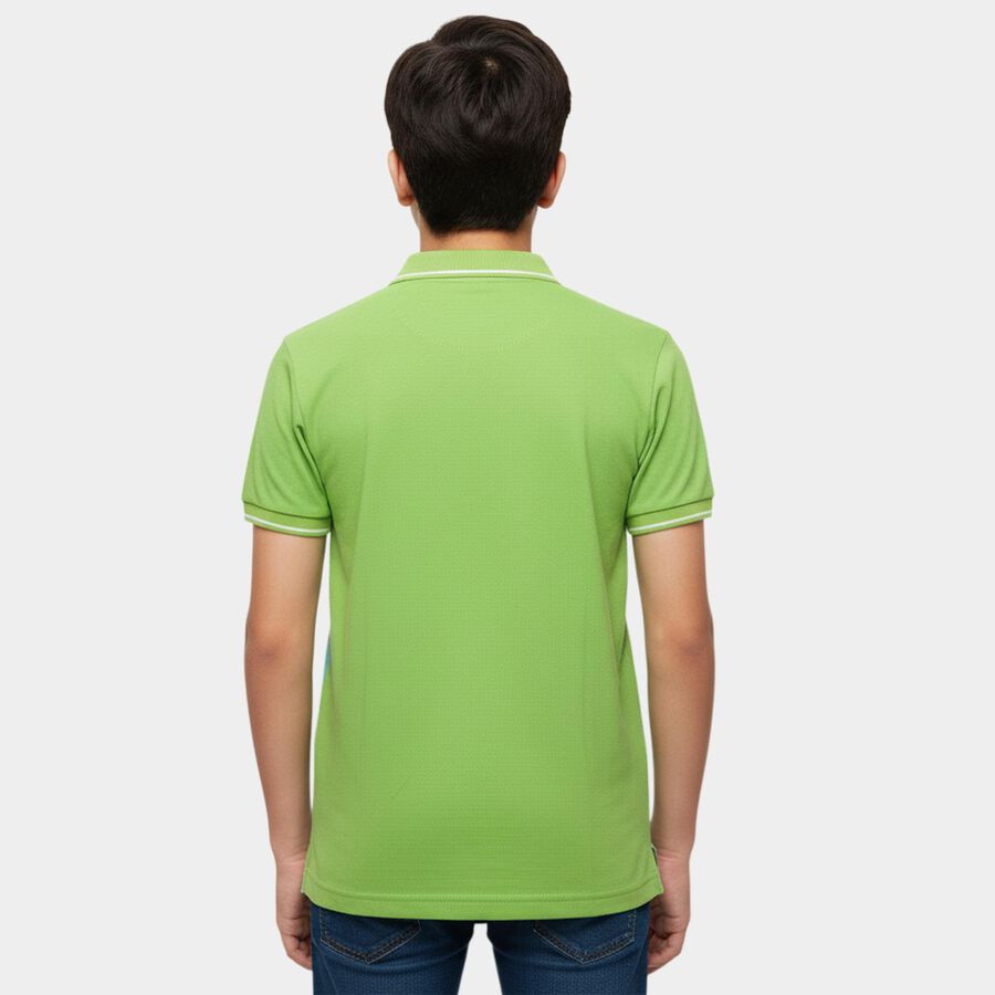 Boys' Light Green Cotton Round Neck Casual Half Sleeves T-Shirt, Light Green, large