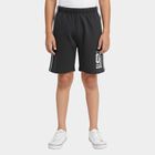 Boys' Dark Grey Regular Fit Side Striped Graphic Bermuda Shorts, Dark Grey, small