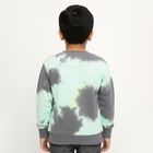 Boys Light Sage Green and Charcoal Grey Crew Neck Casual Sweatshirt, Light Green, small image number null
