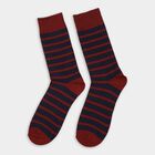 Men's Socks (Pack of 2), नेवी ब्लू, small