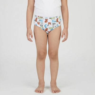 Boys White Regular Fit Printed Briefs