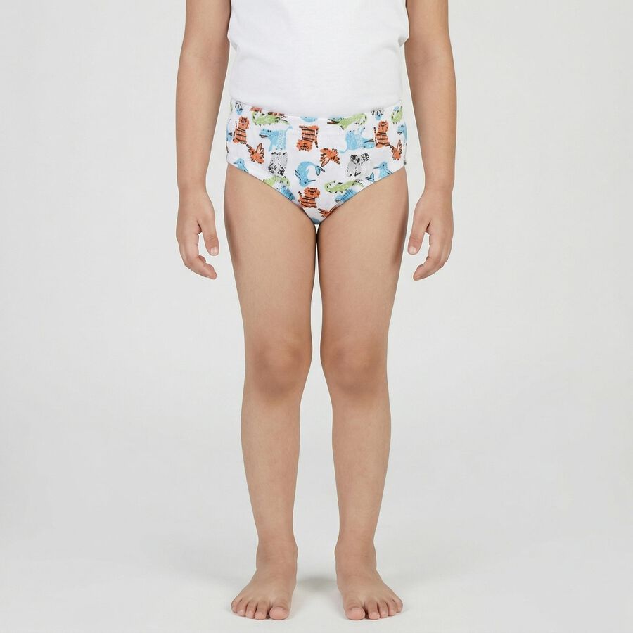 Boys White Regular Fit Printed Briefs, Off White, large