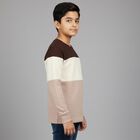 Boys' Brown and Beige Round Neck Casual T-Shirt, Brown, small image number null