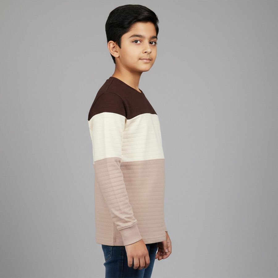 Boys' Brown and Beige Round Neck Casual T-Shirt, Brown, large image number null