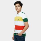 Boys' White Cotton Round Neck Graphic Printed T-Shirt, White, small