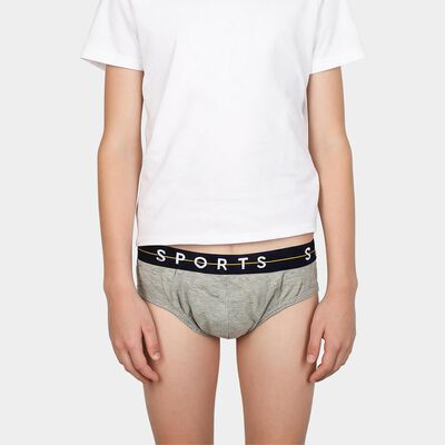 Boys Grey Regular Fit Sports Waistband Briefs