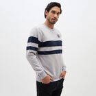 Men's Light Grey Crew Neck Casual Sweatshirt, Light Grey, small image number null