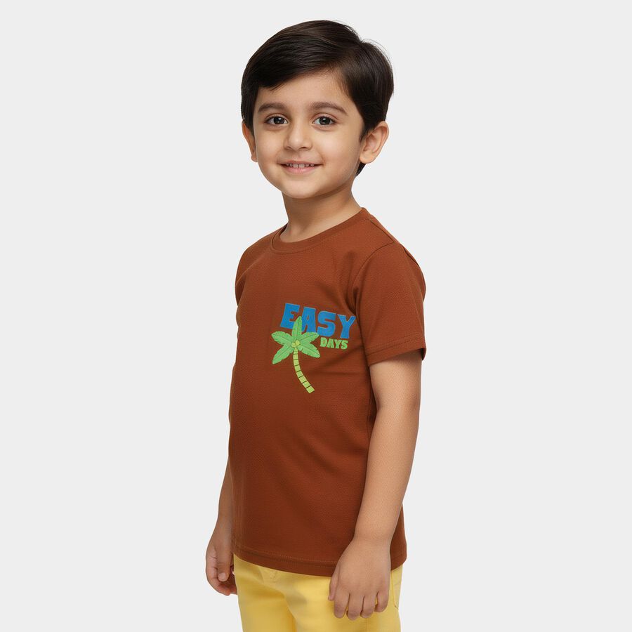 Boys Brown Round Neck Casual Half Sleeve T-Shirt, Brown, large