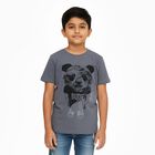 Boys Dark Grey Crew Neck Casual Half Sleeve T-Shirt, Dark Grey, small image number null
