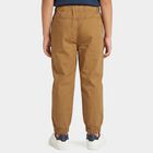 Boys' Brown Regular Fit Drawstring Jogger Trousers, Brown, small