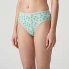 Women's Mint Green Regular Fit Printed Panty, Light Green, small