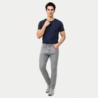Men's Grey Slim Fit Jeans, Light Grey, small
