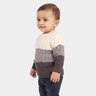 Infants Grey Crew Neck Knitted Design Pullover, चारकोल, small