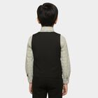 Boys Light Green Cotton Classic Collar Casual Shirt, Light Green, small image number null