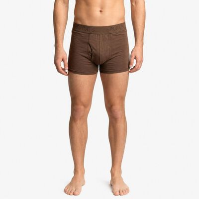 Men Brown Regular Fit Solid Trunks