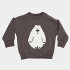 Infants Dark Charcoal Crew Neck Casual Sweatshirt, चारकोल, small image number null