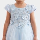 Girls' Light Blue Fit and Flare Floral Applique Party Wear Frock, हल्का नीला, small