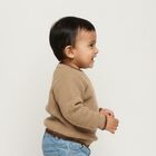Infants Beige Crew Neck Casual Pullover, Brown, small image number null