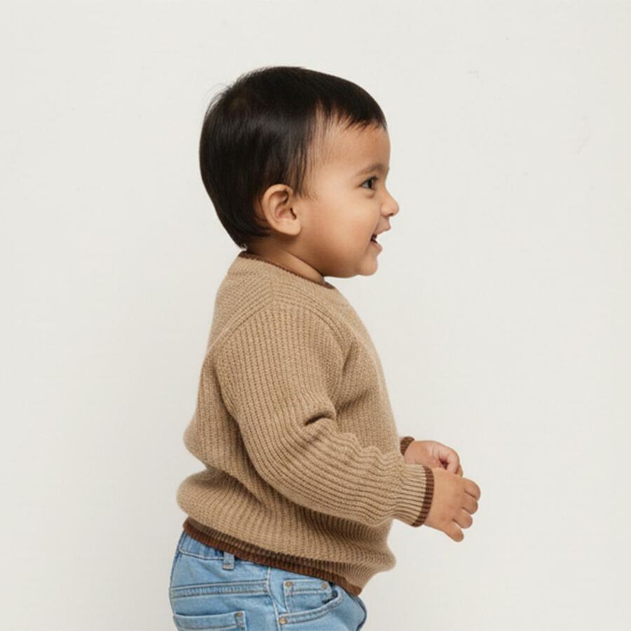 Infants Beige Crew Neck Casual Pullover, Brown, large image number null