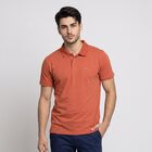 Men's Orange Polo Neck Solid Polo T-Shirt, रस्ट, small