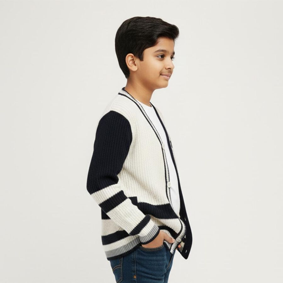 Boys Off White and Navy V-Neck Casual Pullover, ऑफ व्हाइट, large image number null
