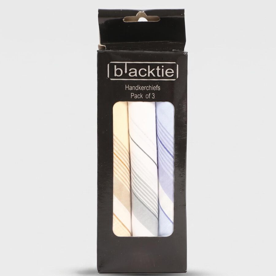 Men's Light Blue Striped Pack of 3 Handkerchief, Light Blue, large