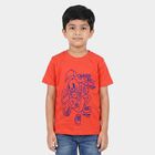 Boys Peach Round Neck Regular Boys T-Shirt, Peach, small