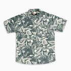 Boys Light Sage Green Cotton Half Sleeve Button Down Casual Shirt, Light Green, small image number null